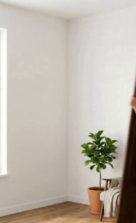 Как красиво сделать зеленый уголок в квартире Дизайн и ремонт Please open Telegram to view this post VIEW IN TELEGRAM - изображение 1 - telegram, view, красиво