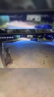צעקותיה של נערה סורית סיכלו חשד לניסיון חטיפה בסרין אל תחטה...מכונית שעוררה חשדות, וחקירות ביטחוניות נמשכות…