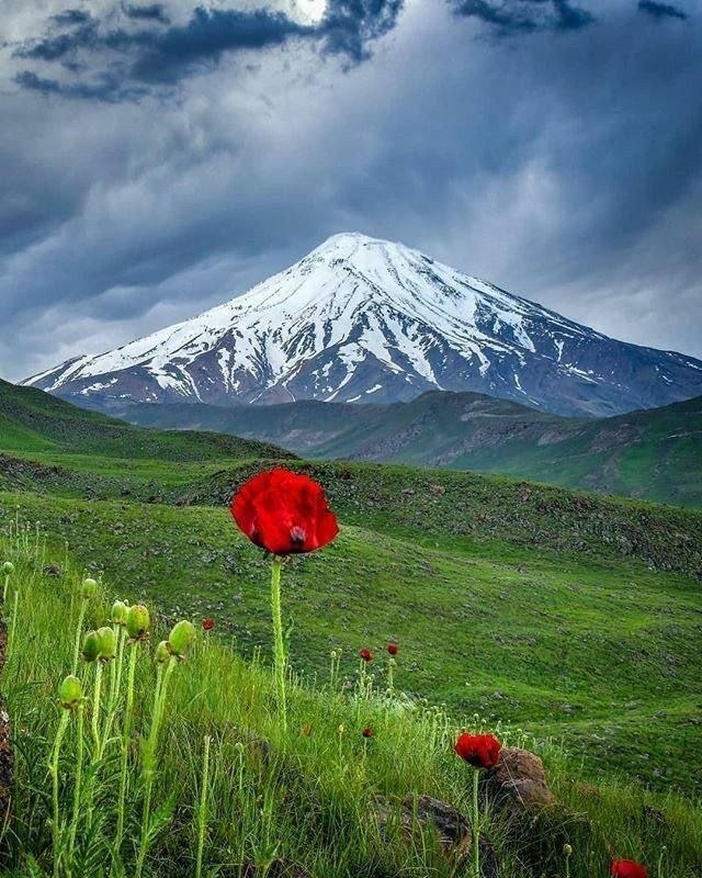💞پندانه💞: زندگی فقط از جهش‌ها، اشتیاق‌ها و حرارت‌ها تشکیل نمی‌شود، بلکه سازش‌ها، فراموشی‌ها و سرسختی‌ها هم هست.