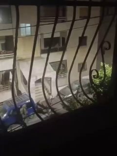 🇮🇱🇵🇸 — כוחות הכיבוש ממשיכים להסתער על כמה שכונות בעיר שכם, על רקע מסע פשיטות בתים ומעצרים.