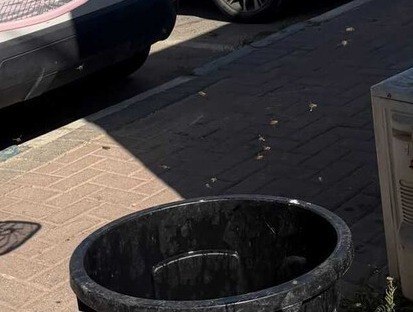 ניצן שפירא