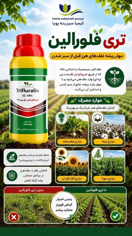 گروه شرکت های فراز آسمان: 🌱 *تری فلورالین | مهار ریشه علفهای هرز قبل از سبز شدن* علفکش سیستمیک و انتخابی خاک که از طریق هیپوکوتیل (قسمت زیر لپه