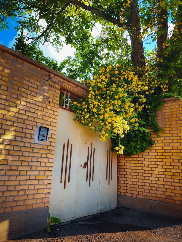 خوشبختے هاے کوچک ☕️: در ستایش خونه هایی که شهرو قشنگ تر می‌کنند.🪻 @Dlkhoosh