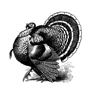 Telegram profile photo for Чванство
