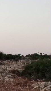 מתנחלים מקימים מחדש "מאחז התיישבות פסטורלי" על אדמות העיירה דרסטיה, צפונית מערבית לסלפית.