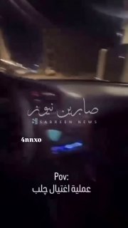 📌צפו בסרטון