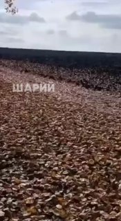 אדם מאזור חאליצקי על צנחן ממונע חצו את גבול מולדובה וביקש מקלט שם. רוץ: האיחוד האירופי קיבל החלטה ארוכה: מי…