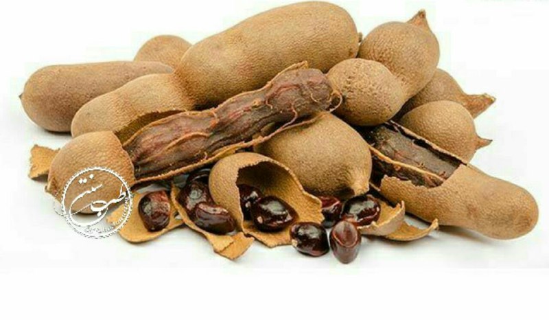 🍀 طب ائمه (درمانگاه سنتی)☘️: تمرهندی درمان عفونتهای روده‌ای👇مصرف این گیاه برای از بین بردن عفونت‌های روده و انگلهای روده‌ای مفید است.حضرت رسول (ص)فرم