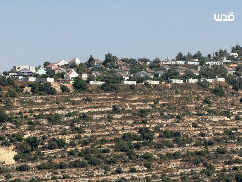 רשת חדשות ירושלים