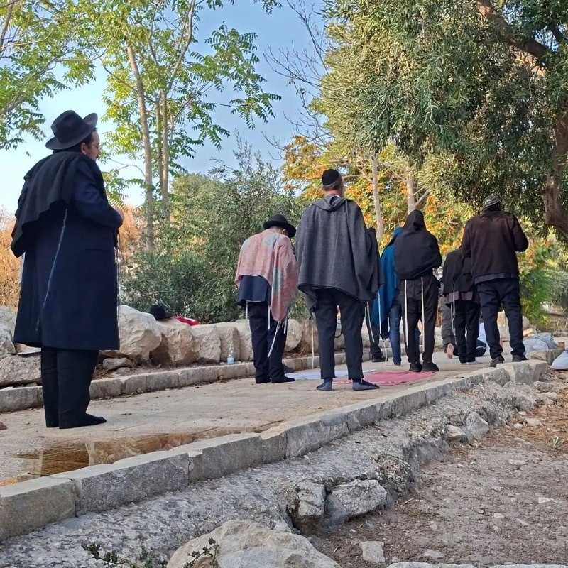 מעקב: מתנחלים עורכים טקסים תלמודיים במהלך הסתערותם על חצרות מסגד אל-אקצא המבורך.