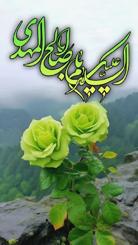 میگون قصر بهشت: @Meygunghasrebehesht@Meygunghasrebehesht
