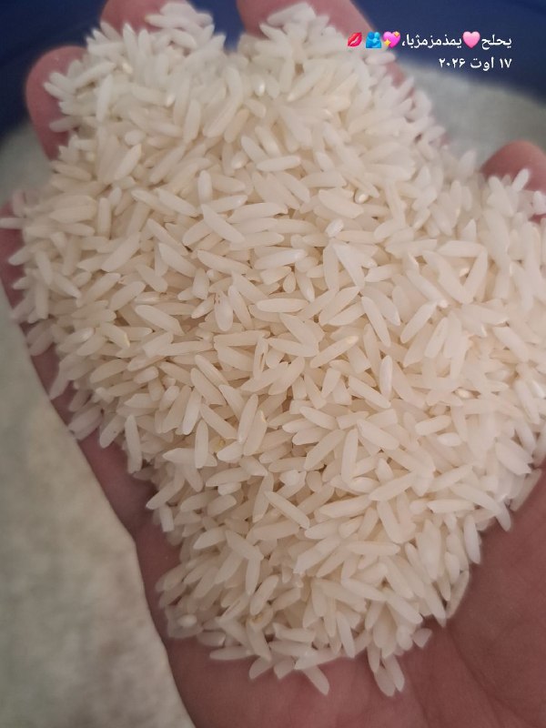 🎺 شیپور آمل 🎺: بیزحمت بذارین داخل کانالتون👆