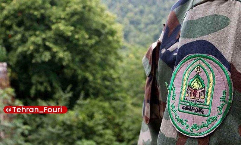 تهران فوری 🏙: تجلیل از جنگلبانان در دماوند و نیاز به حمایت بیشتر🔹دماوند در مراسم روز جنگلبان در دماوند، مسوولان به موضوعی فراتر از تجل