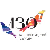 Калининградский зоопарк