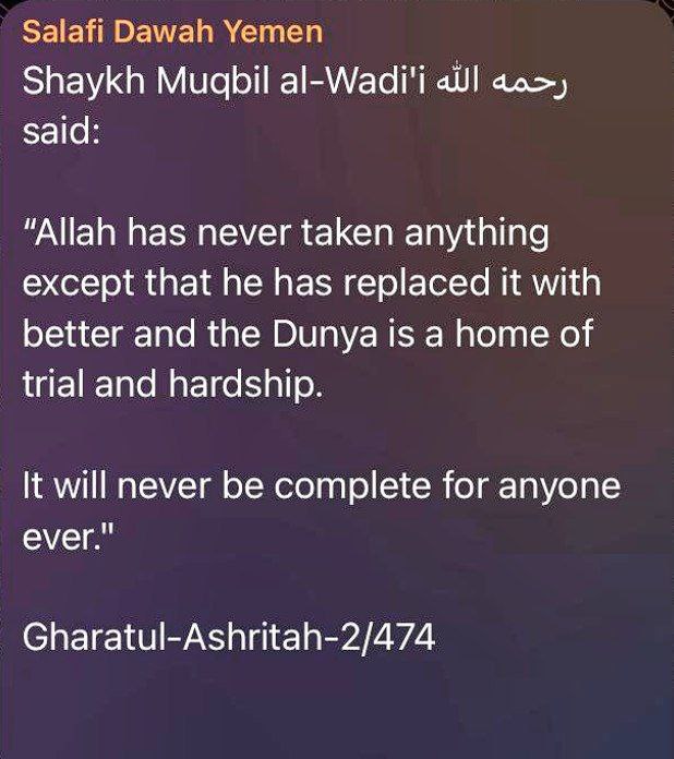 لعل ركعة واحدة تكون نهاية حزن ثقيل، 