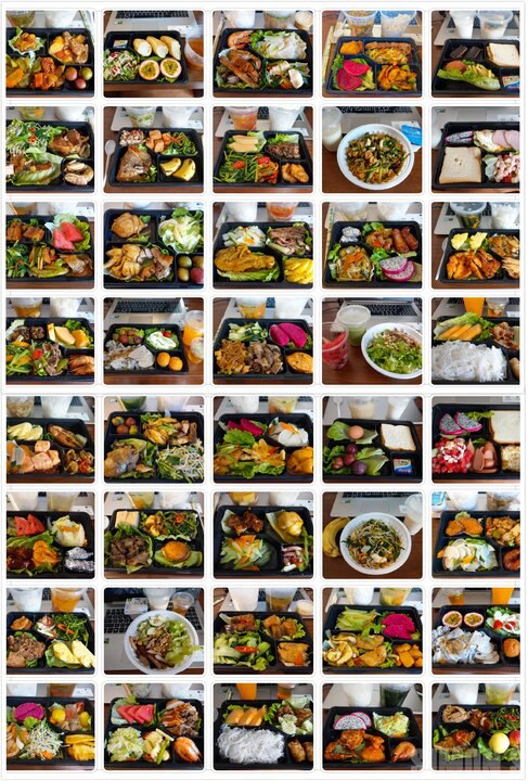 【越南-廣寧省下龍市】赴越隔離紀實(下篇)：叮咚叮咚的豬隻養殖戶人生