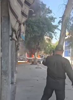 ספיר ליפקין
