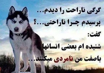 ❤️ حریم عشق ❤: ﮔﺮﮒ ﺍﺳﻤﺶ ﺑﺪ ﺩﺭ ﺭﻓﺘﻪ . . .ﻣﺎ ﺍﻧﺴﺎﻧﯿﻢ بعضی ﺍﺯ ﻣﺎﻫﺎ ﻋﺸﻖ بعضی ﻫﺎﻣﻮﻥ ﺭﻓﺎﻗﺖ بعضی ﻫﺎﻣﻮﻥ ﺍﻋﺘﻤﺎﺩ بعضی ﻫﺎﻣﻮﻥ ﺣﺮﯾﻢ ؛ﻭ ﺑﻌﻀﯽ ﻫﺎﻣﻮﻥ ﺗﻤ