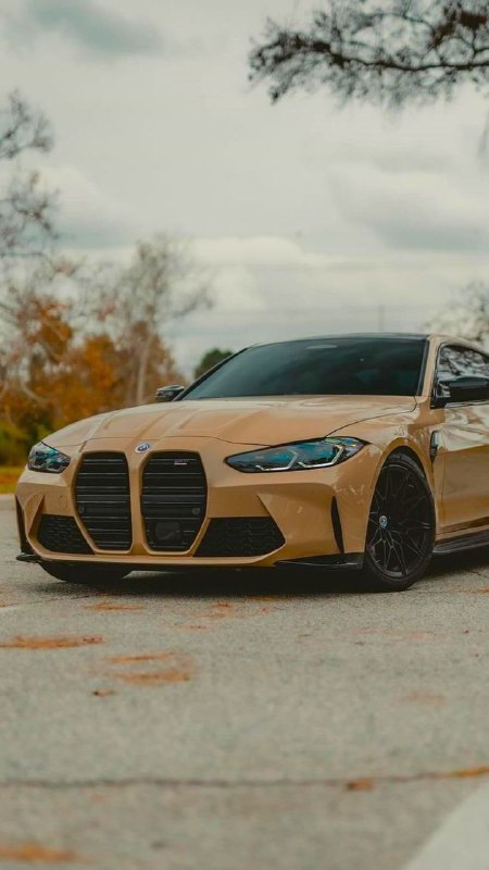 https://t.me/bmw_mpower_club