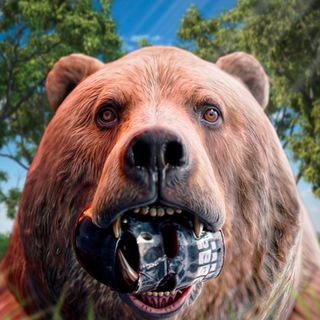RUST TEDIBIR Telegram channel profile photo