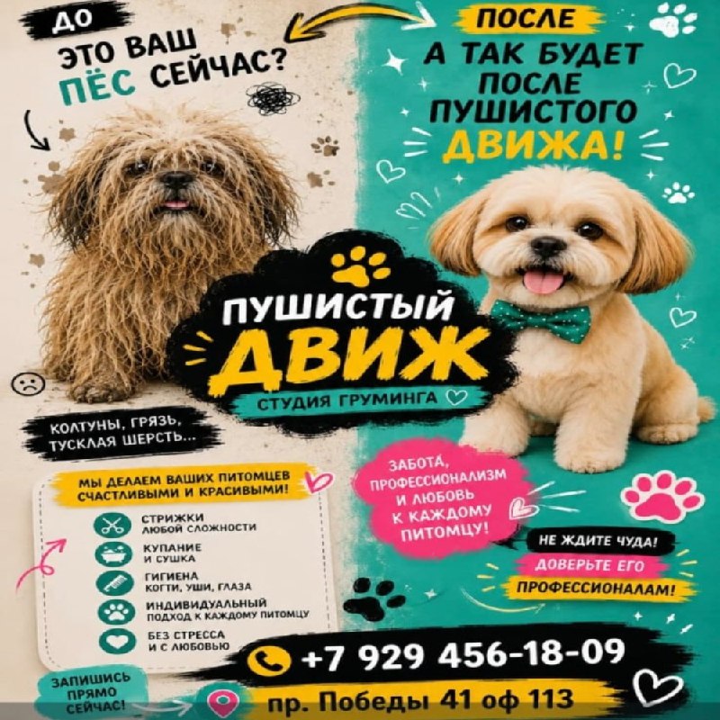 Вчера наша Поночка посетила студию груминга...