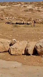 רשת חדשות ירושלים
