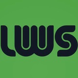 Лайкворкшоп (LWS)