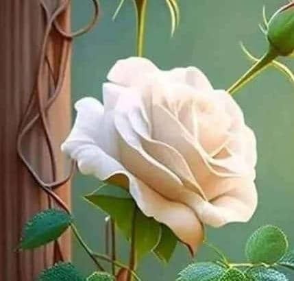 Dabestan golfam | دبستان گلفام: 🌸1405/5/5 🌸🌿۱۴۰۵/۵/۵ یه تاریخ خاص...🌿آغاز اتفاق‌های* *خوب،موفقیت*🌿و حال خوب برای همه⚜️مجموعه آموزشی گلفام⚜️@dabestangolf