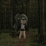 ᴛихий ᴧᴇᴄ ᴧ϶й || ᴧ϶й!⎈