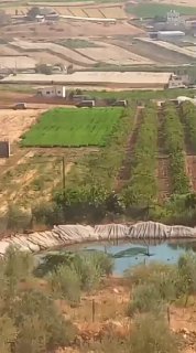 רשת חדשות ירושלים