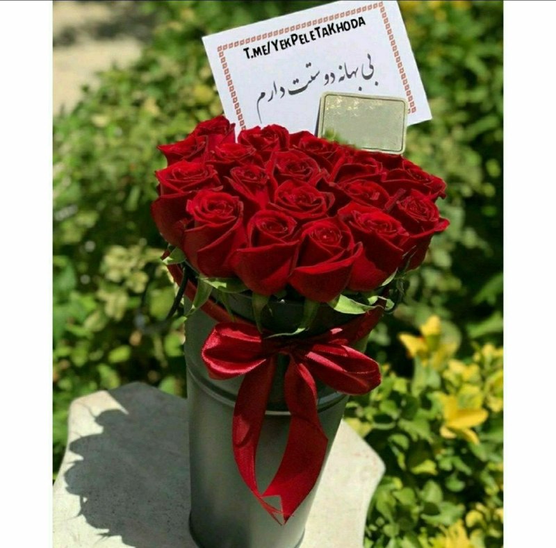 ۞یک پله تا ملاقات خدا۞: 🌹 @YekPeleTaKhodaدر این یکشنبہزیبای تابستانیخواهم زخدا خستهو درمانده نباشی محبوب خدا باشی وشرمنده نباشیای دوست الهی در ا