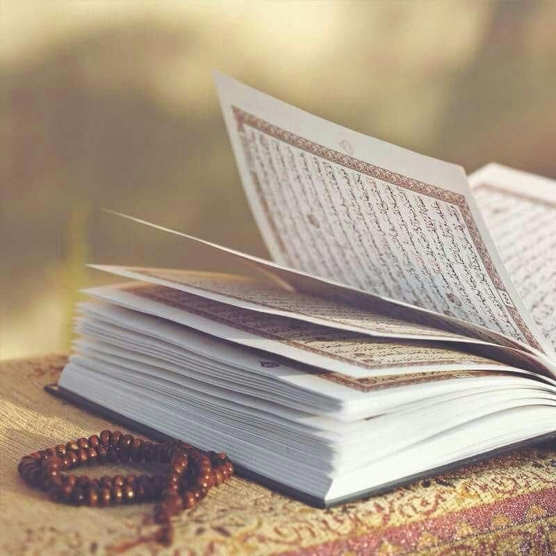 ❤️قُنِأَةَ َآلْﯙلْأَيُهُ فيُ حَبَ أَلْأَمَأَمَ عُلْيُ ❤️: ﷽‏​​📖 الــقـــرآن الـڪــريــم✨​​اللَّهُمَّ صَلِّ عَلَى مُحَمَّدٍ وآلِ مُحَمَّدٍ وعَجِّلْ فَرَجَهُمْ​​ ⁩روي عن أمير المؤم