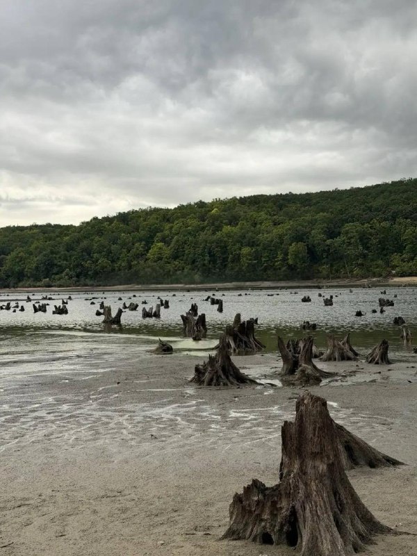 Белгородське водосховище обміліло після ударів по дамбі