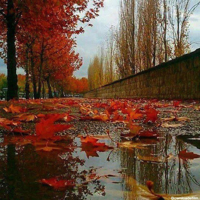 صبح بخیر☕ شب بخیر🌘: 🎗 گروه : 🕊پـ‌ـ‌ـ‌ـشـ‌ـ‌ـ‌ـت‌ پَِـَِـرَِچَِیَِنَِ غـ‌‌ــ‌‌ـ‌‌زل🕊 👥 تعداد عضو : 77 🛂 قوانین : ✨دعوتید ب جمعی دوستانه✨⚜ادب 
