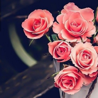 Telegram profile photo for 🌹رَفِيْقُ اَلْدَرْبِ🌹