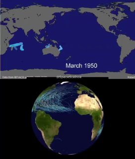 No hurricane has ever crossed the equator, due to the Coriolis force. Science and facts💡