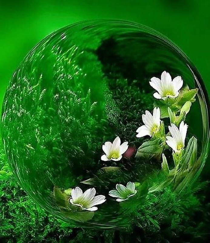 💔❤عاشقان و سوز غم😔😔😔😔😔😔❤💔: غمگین مباشحال جهانخوب می شود ....‎