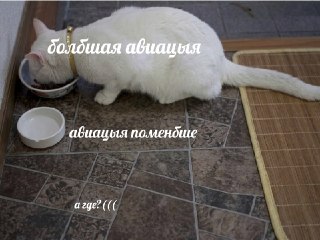 В Московской воздушной зоне запретят полёты малой авиации на высоте ниже 5,1 тыс. мОб этом сообщила Межрегиональная общественная организация пилотов и граждан-владельцев воздушных судов. Ограничения введут 1 июня. Под запрет попадают частная авиация, бизне