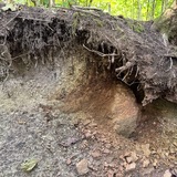 Почвовед в отставке