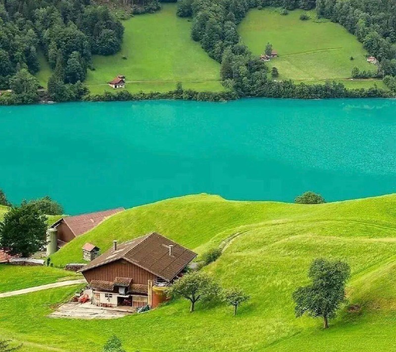 🌹👌سخنان ناب و پند آموز👌🌹: شما بدون تسلط بر خودنمیتوانید فاتح دیگران باشید!!@pand_e_nab