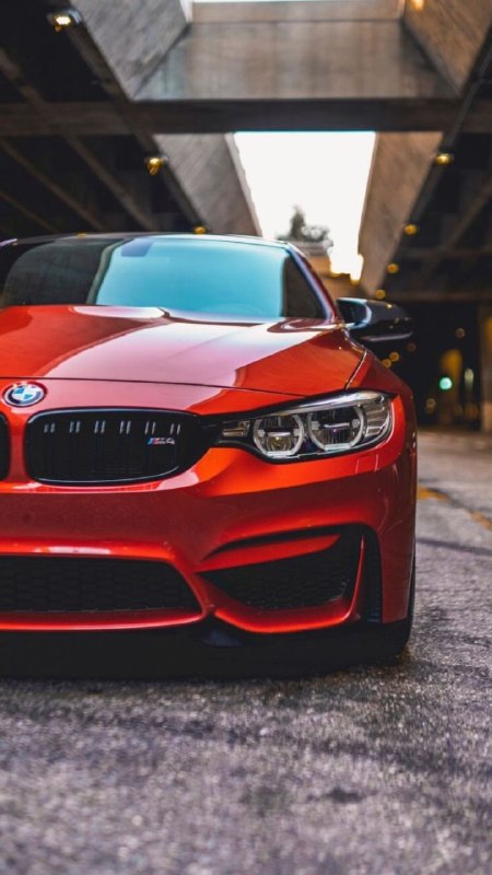 https://t.me/bmw_mpower_club