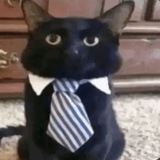 cookie’s calls aggregator