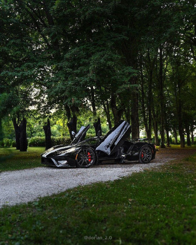 Ford GT 5