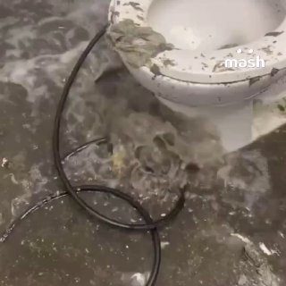 Самый дорогой корабль ВМС США USS Gerald R. Ford у берегов Ирана залило говном канализационными отходами — из унитазов бьют фонтаны, судно срочно просится в док.Авианосец ВМС США за $13 млрд только подошёл к региону — и сразу сломался. На борту 4600+ челов