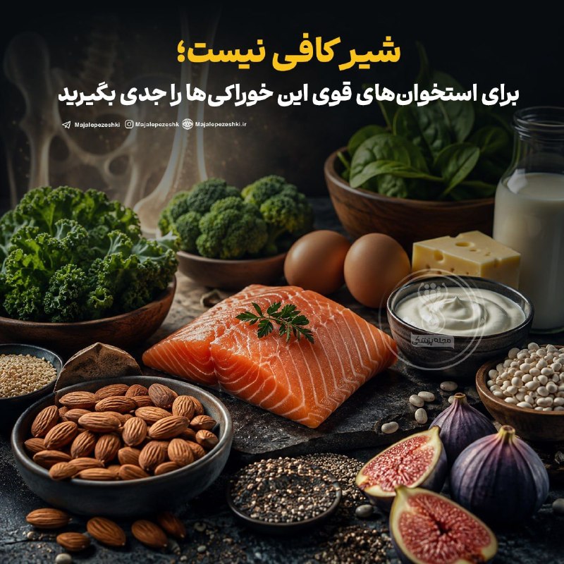 هیدج زیبا: شیر کافی نیست؛ برای استخوان‌های قوی این خوراکی‌ها را جدی بگیرید!◽️سلامت استخوان فقط به شیر و کلسیم وابسته نیست. پروتئین،