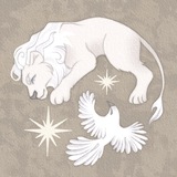 arktika 𖤓