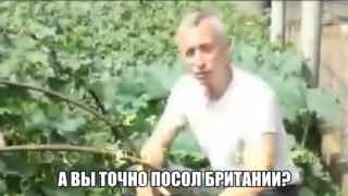 Нелегалу с вымышленным именем разрешили остаться в Великобритании благодаря наггетсам, которые не любит его сын. Подробнее о чудесах миграционки UK — в нашем MAX.