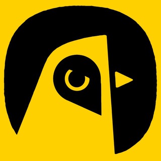 Telegram profile photo for Kyiv BIRD Робота