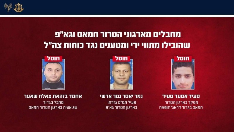 IDF spokesman: