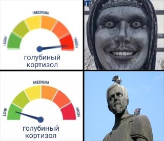 Женщины пугают голубей сильнее мужчин, — учёные. Психологи, орнитологи и прочие *ологи пяти европейских стран занялись делом и масштабно исследовали влияние человека на поведение городских птиц — 2500 наблюдений за 37 пернатыми. Результат не удивил — оказа